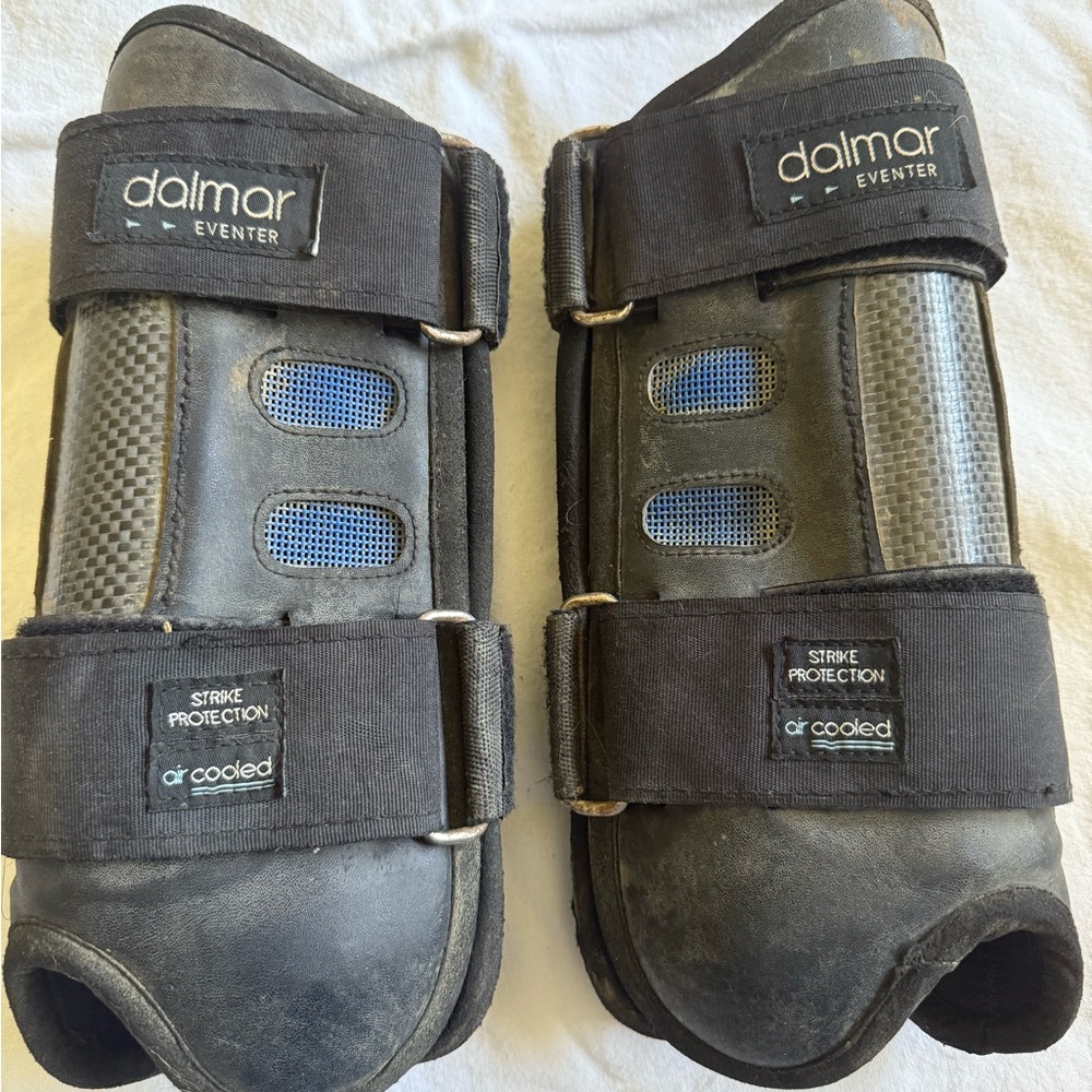 Dalmar Eventer Hind Horse Boots L
